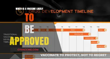 When Will a Vaccine Be Approved: Timelines and Expectations