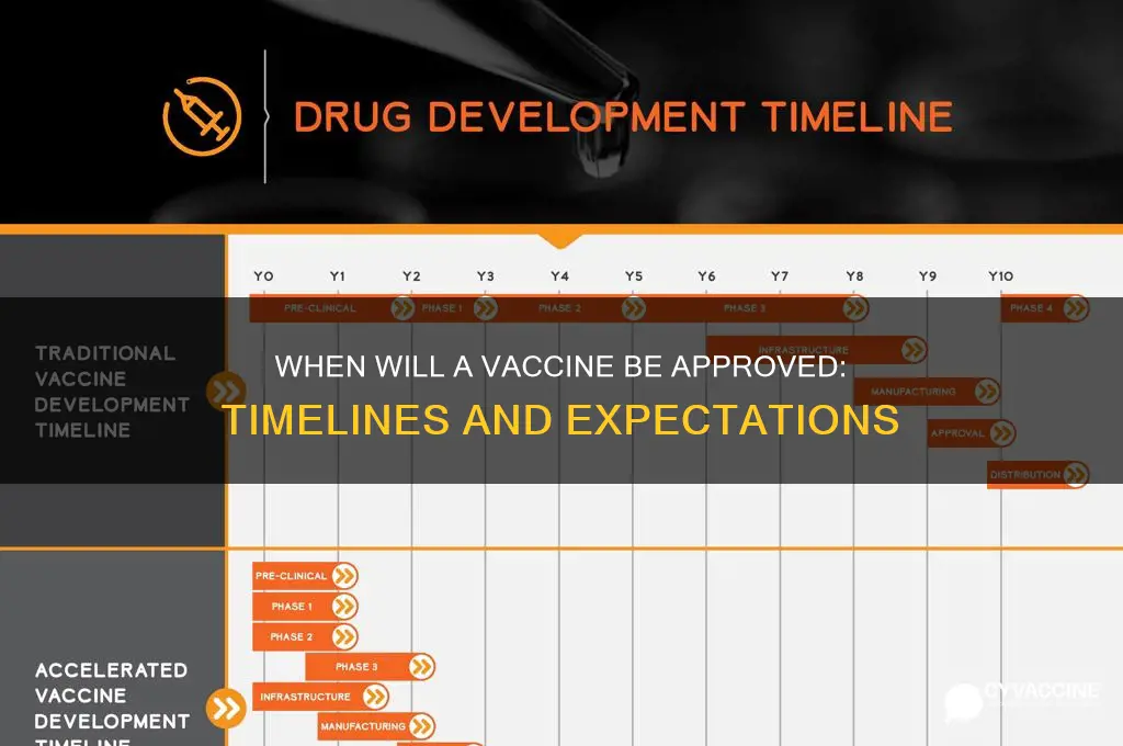 when is a vaccine likely to be approved