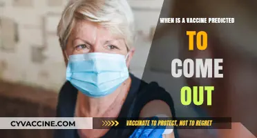 Anticipating the Arrival: When Will the Vaccine Be Released?