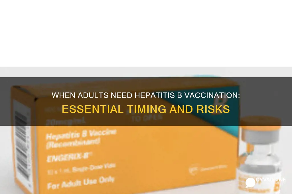 when is hep b vaccine necessary as adut