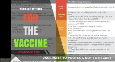 Your Vaccine Turn: Understanding the Rollout Timeline and Priorities