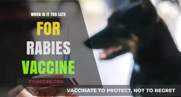 Is It Too Late for Rabies Vaccine After a Bite?
