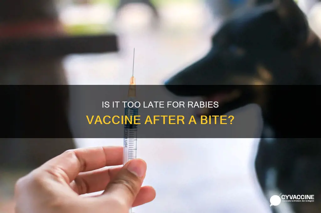 when is it too late for rabies vaccine