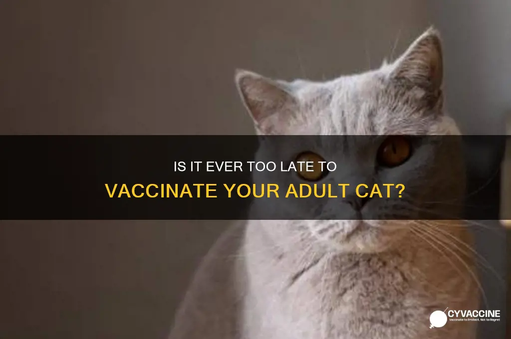 when is it too late to vaccinate a cat