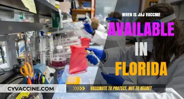 J&J Vaccine Rollout in Florida: Availability Dates and Details