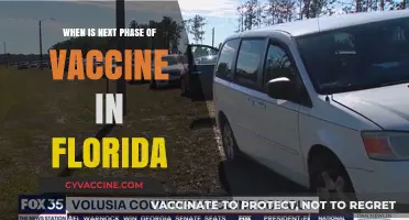 Florida's Vaccine Rollout: Next Phase Timing and Eligibility Updates