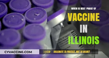 Illinois Vaccine Rollout: Upcoming Phase Dates and Eligibility Details