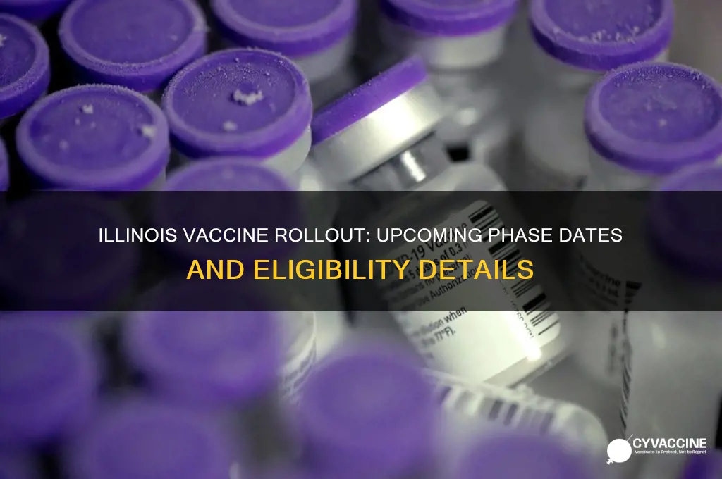 when is next phase of vaccine in illinois