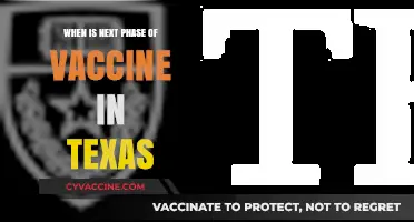 Texas Vaccine Rollout: When Does the Next Phase Begin?