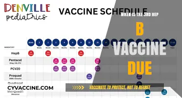 Hepatitis B Vaccine Schedule: Timing for the Third Dose