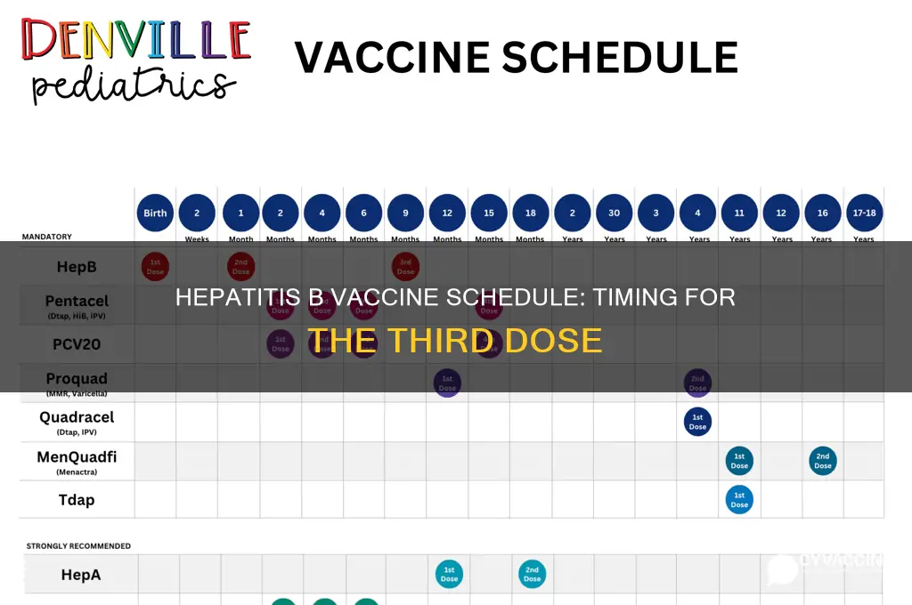 when is the 3rd hep b vaccine due