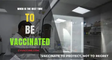 Optimal Vaccination Timing: When to Get Your Shots for Maximum Protection