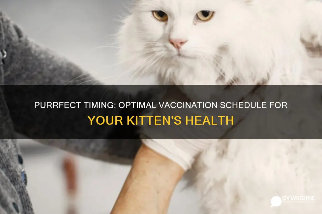when is the best time to vaccinate kittens