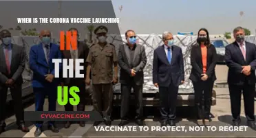 US COVID-19 Vaccine Launch: Timelines and Distribution Plans Revealed