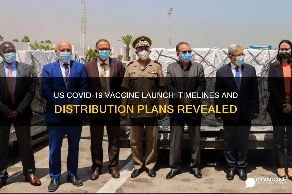 when is the corona vaccine launching in the us