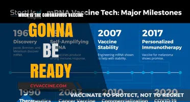 When Will the Coronavirus Vaccine Be Ready? Latest Updates