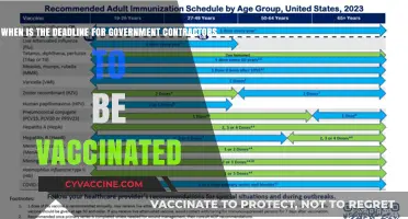 Government Contractors' COVID-19 Vaccine Deadline: What You Need to Know