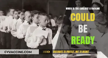 Earliest Vaccine Timeline: When Could a Safe, Effective Shot Arrive?