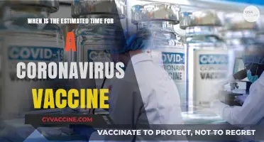 When Can We Expect a Coronavirus Vaccine? Latest Estimates