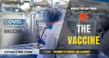 Final Vaccine Phase Timeline: What to Expect and When