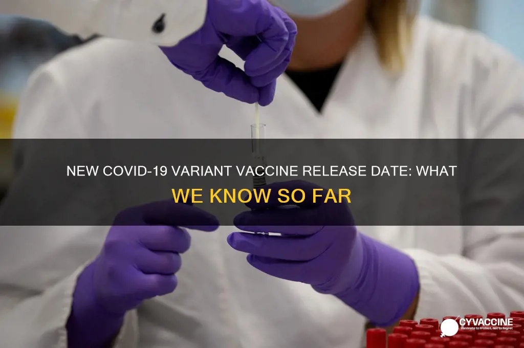 when is the new variant vaccine coming out