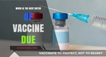 Upcoming Vaccine Batch Schedule: What You Need to Know Now