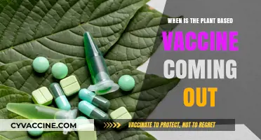 Plant-Based Vaccines: Release Date and Future of Immunization