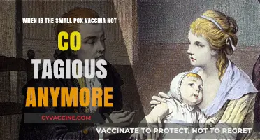When Is Smallpox Vaccine No Longer Contagious? Key Insights