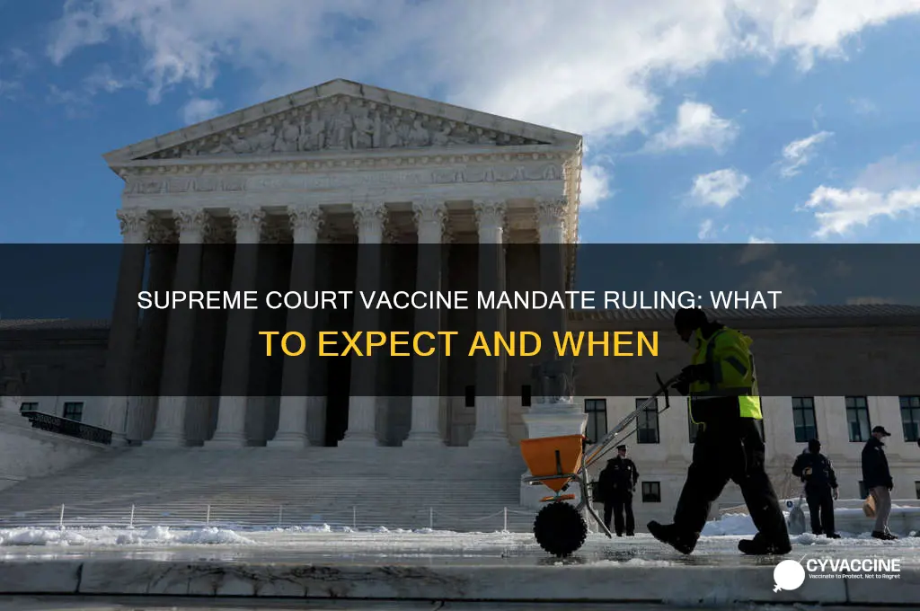 when is the supreme court ruling on vaccine