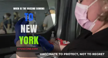 New York's COVID-19 Vaccine Rollout: Timelines and Distribution Updates