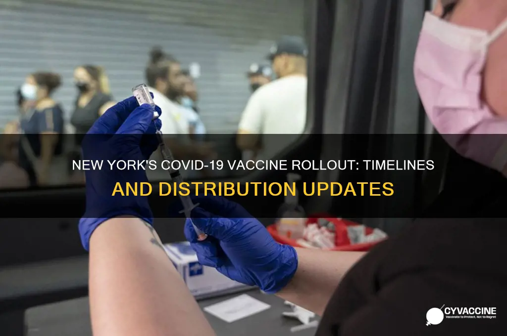 when is the vaccine coming to new york