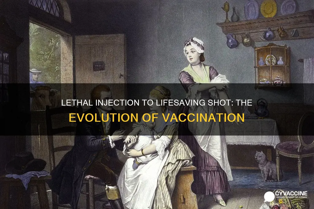 when lethan injection the story of vaccination was made
