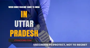MMR Vaccine's Arrival in Uttar Pradesh: A Historical Overview