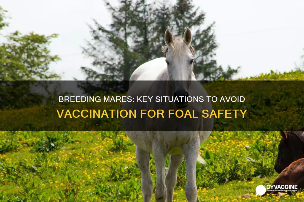 when not to vaccinate a mare you are breesing