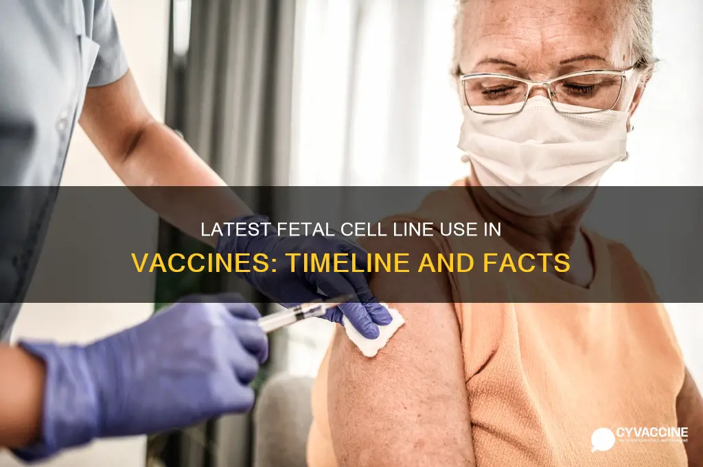 when qas the latest fetal cell line created in vaccines