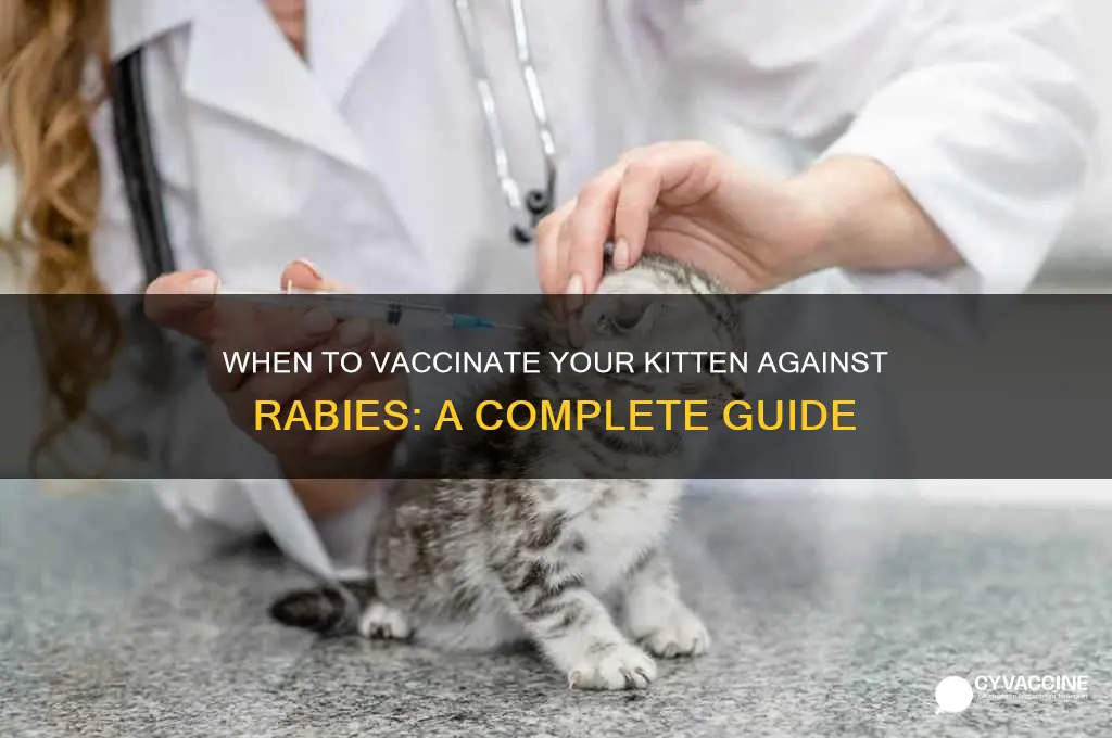 when should a kitten be vaccinated for rabies