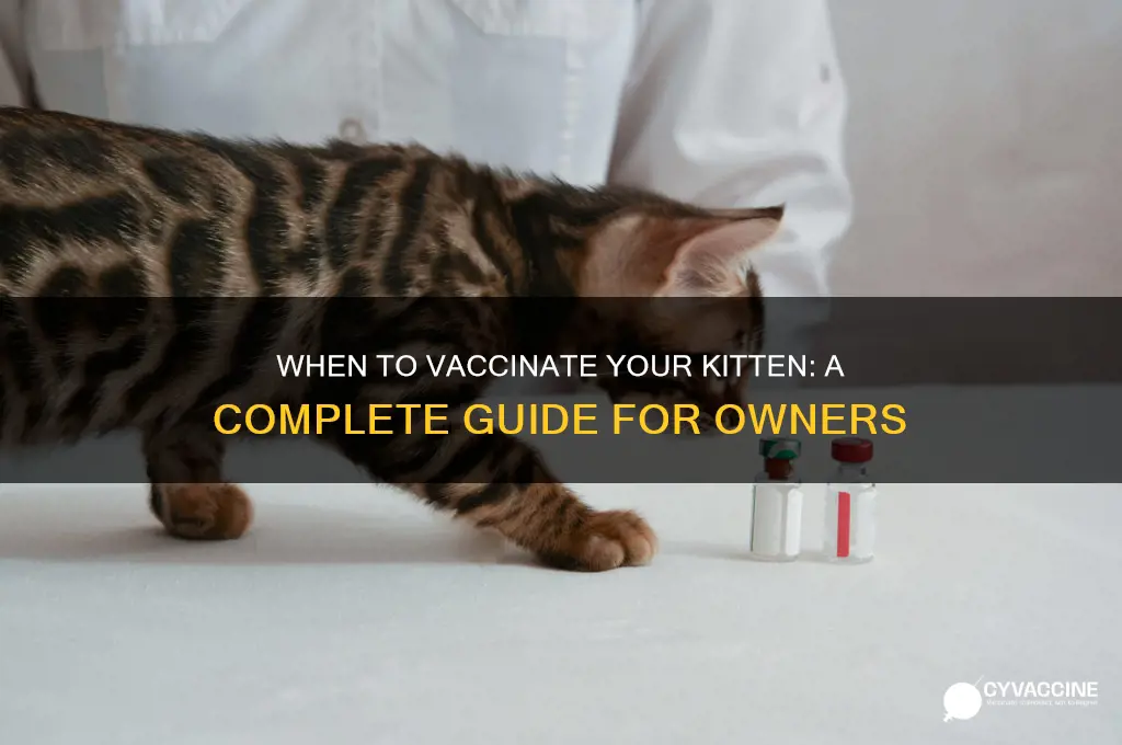 when should a kitten be vaccinated
