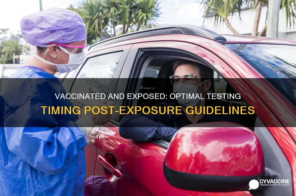when should a vaccinated person test after exposure