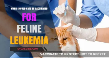 Optimal Timing for Feline Leukemia Vaccination in Cats Explained