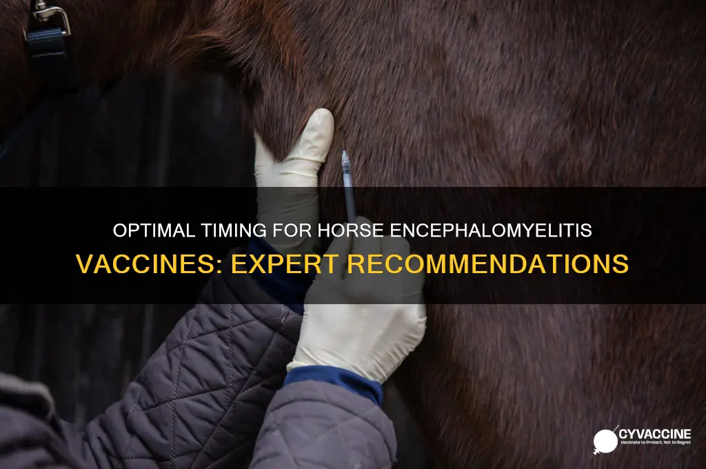 when should horses receive vaccines for encephalomyelitis viruses