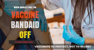When to Vaccinate: Timing Tips to Ease Your Concerns and Take Action