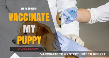 Puppy Vaccination Schedule: When to Start and What to Expect