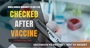 Post-Hepatitis B Vaccination: Optimal Timing for Immunity Testing