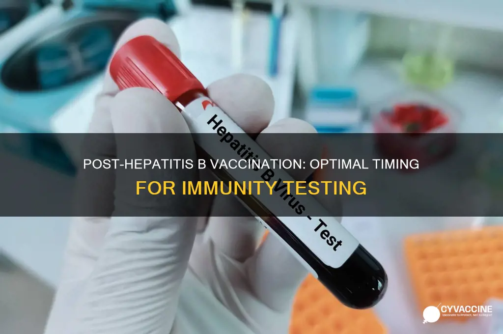 when should immunity to hep b be checked after vaccine