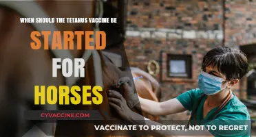 Optimal Timing for Tetanus Vaccination in Horses: A Guide