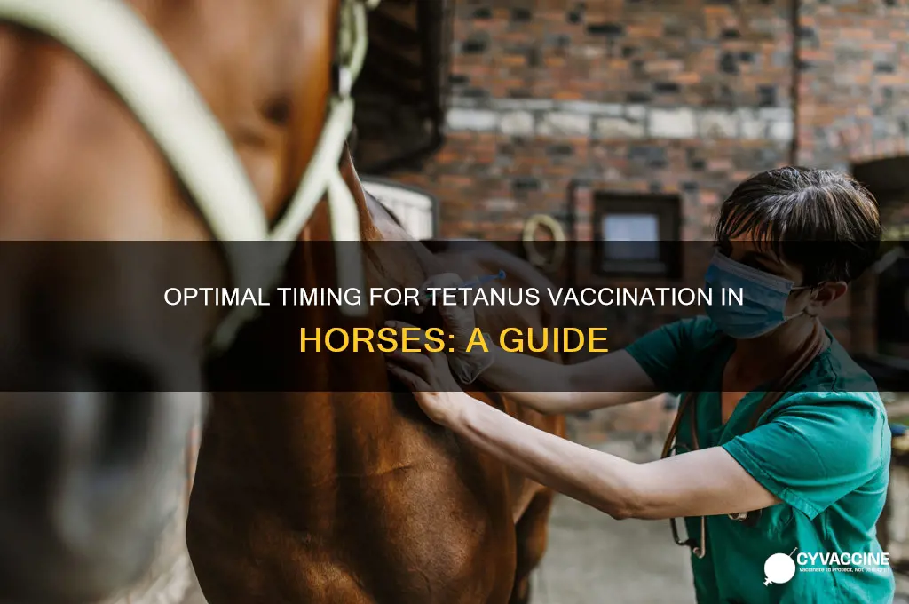 when should the tetanus vaccine be started for horses