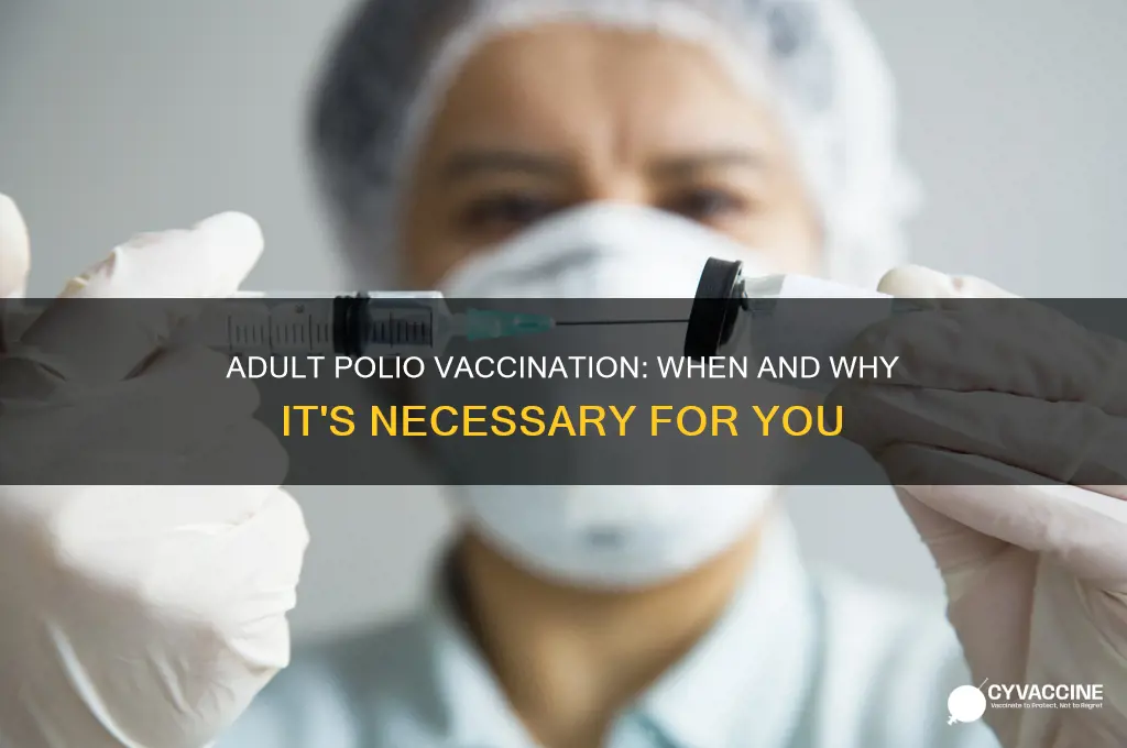 when should you do polio vaccine as an adult