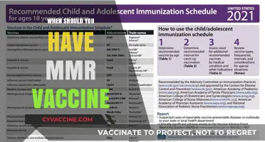 When Should You Get the MMR Vaccine: A Complete Guide