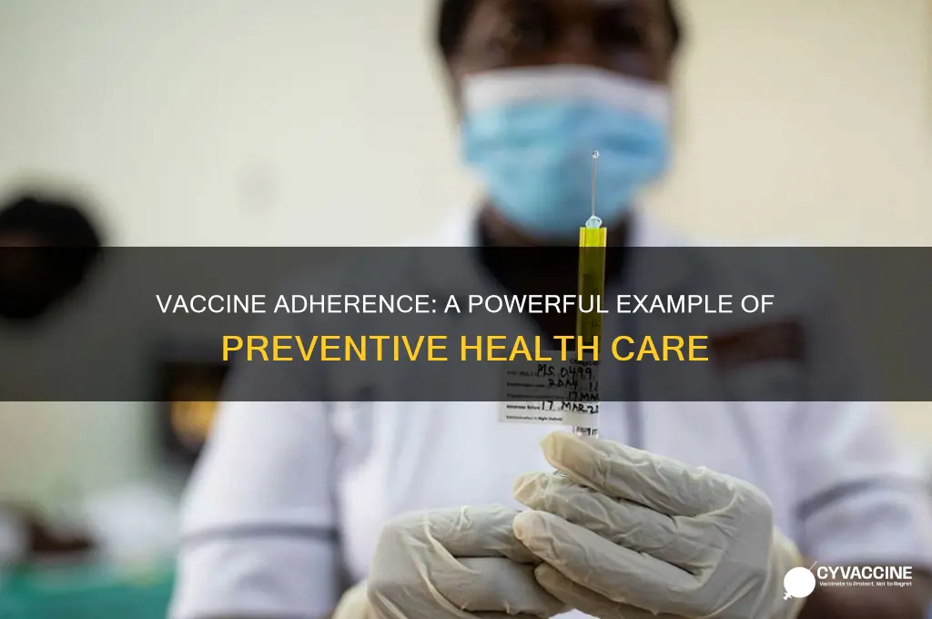 when someone maintains their vaccine example of which prevention
