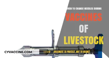 Optimal Needle Change Practices for Safe Livestock Vaccination Procedures